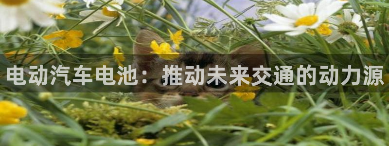 优发国际在哪里下载