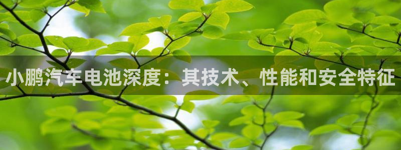 优发国际平台u8怎么样