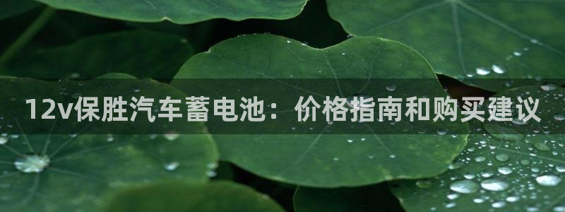 优发国际手机客户端下载安卓