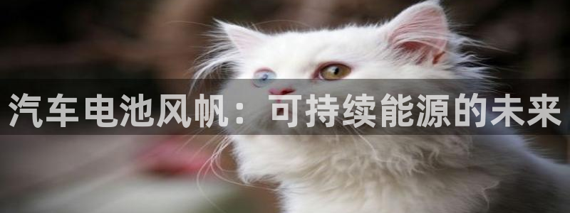 优发国际平台手机版下载官网