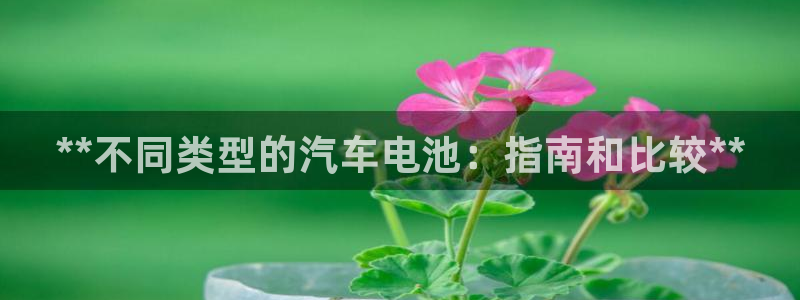优发国际网官网