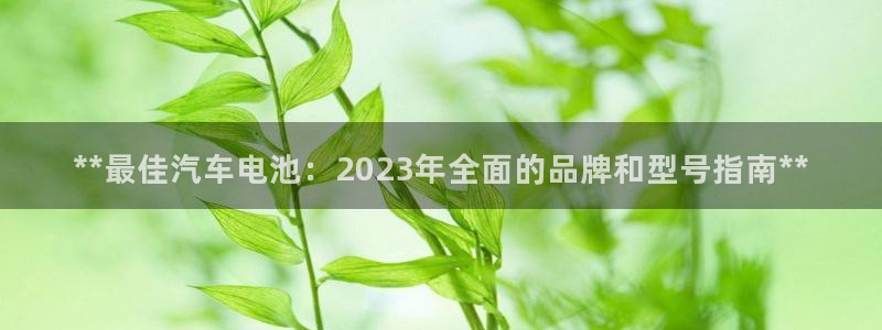 优发国际随优而动一触即发