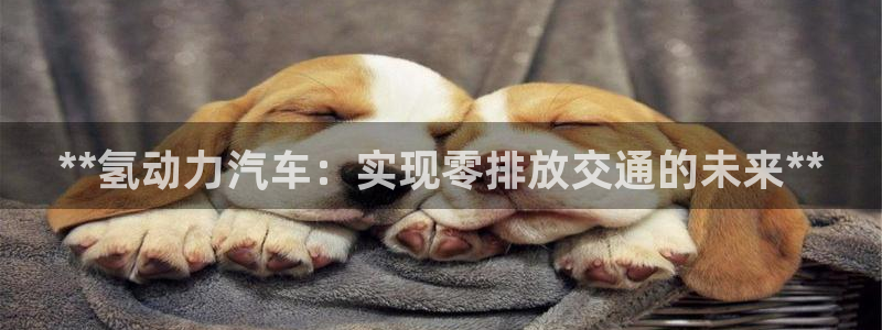 优发国际集团股份有限公司官网