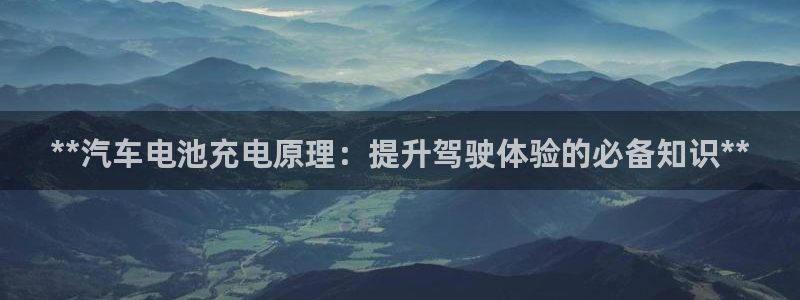 优发国际多少