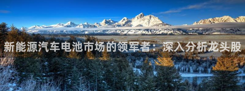优发国际官网下载安装app