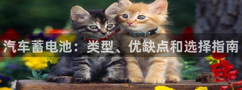 优发国际平台手机版下载安装