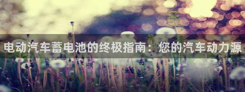 优发国际合并到哪里了