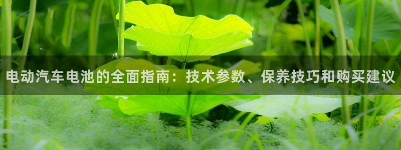 优发国际游戏官方网站入口