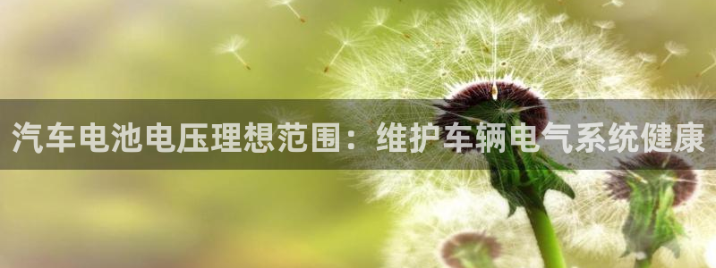 优发国际平台