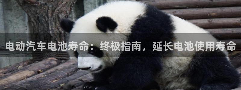 优发国际是大平台吗是真的吗