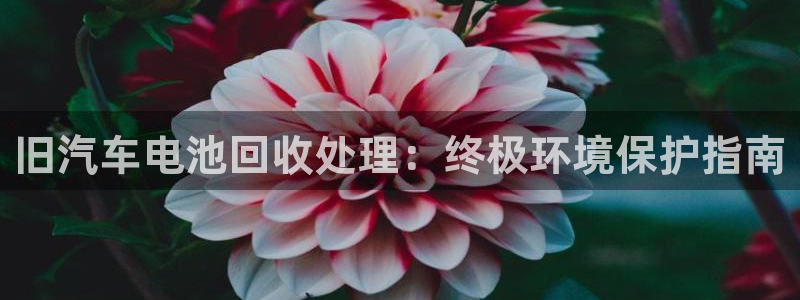 优发国际下载安装