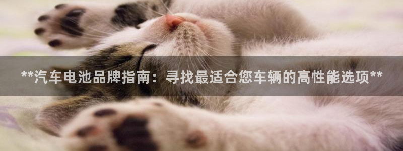 优发国际官方网手机版入口