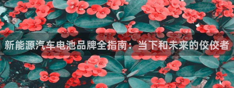 优发国际官网下载app