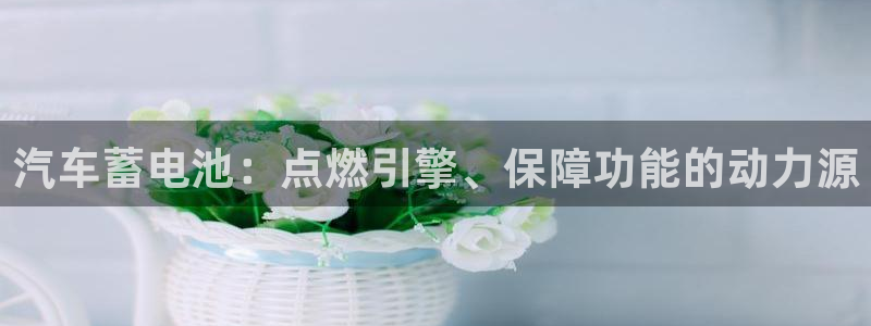 优发国际安卓版下载安装教程