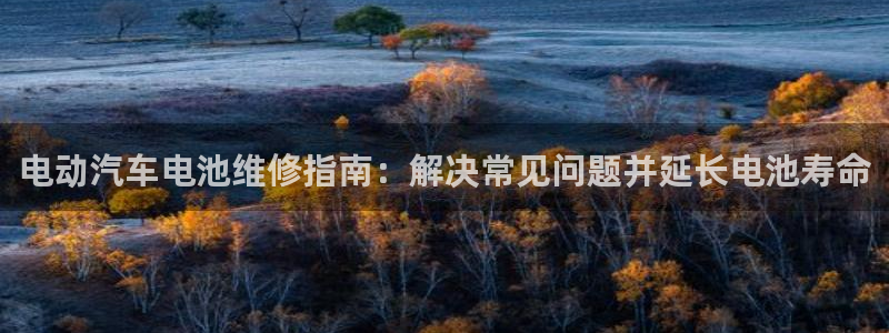优发国际官方网平台