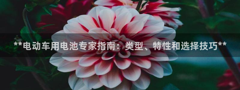 优发国际客服联系方式