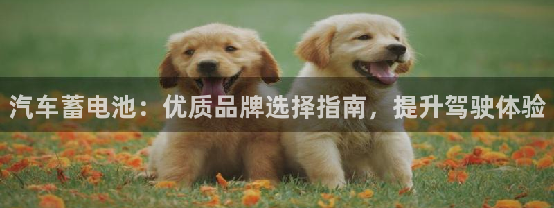 优发国际在哪里下载：汽车蓄电池：优质品牌选择指南，提升驾驶体验