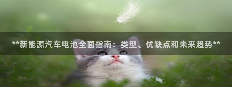 优发国际平台u8怎么样