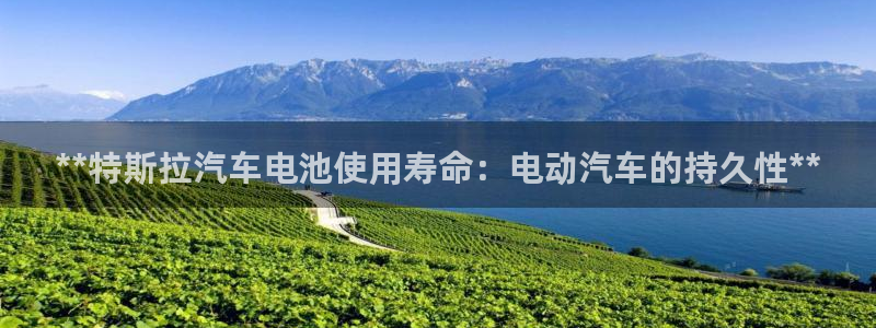 优发国际登录168：**特斯拉汽车电池使用寿命：电动汽车的持久性**