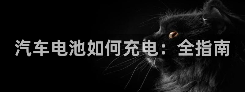 优发国际官网入口app下载