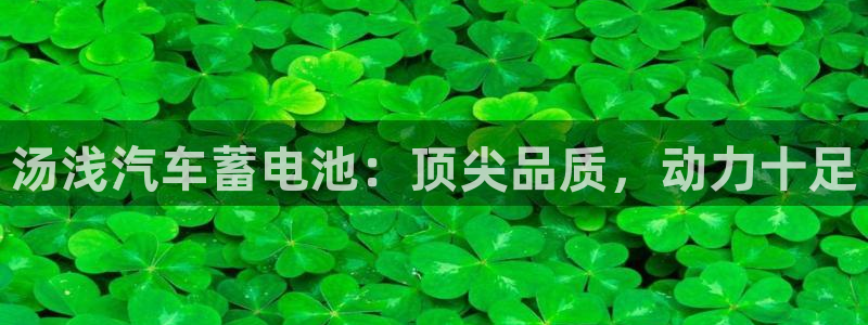 优发国际亚洲平台