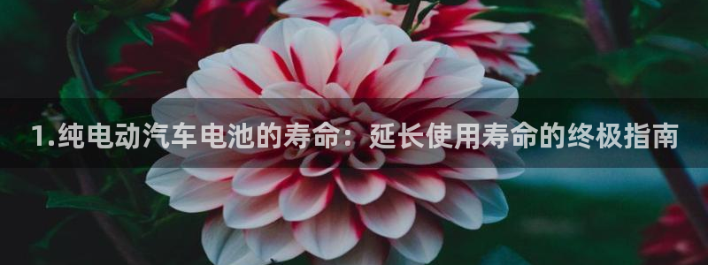 优发国际可以玩吗：1.纯电动汽车电池的寿命：延长使用寿命的终极指南