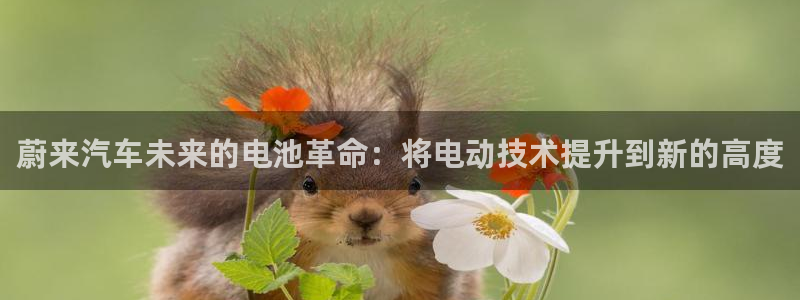 优发娱乐官网app下载