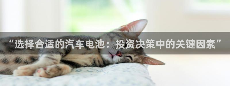 优发国际安卓版下载安装苹果：“选择合适的汽车电池：投资决策中的关键因素”