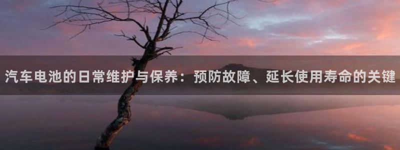 优发国际手机版客户端下载：汽车电池的日常维护与保养：预防故障、延长使用寿命的关键