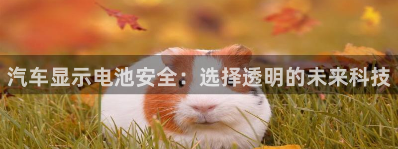 优发国际平台手机版下载
