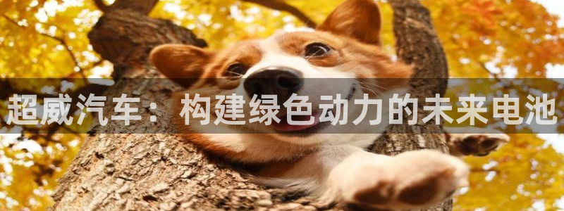 优发国际一首页