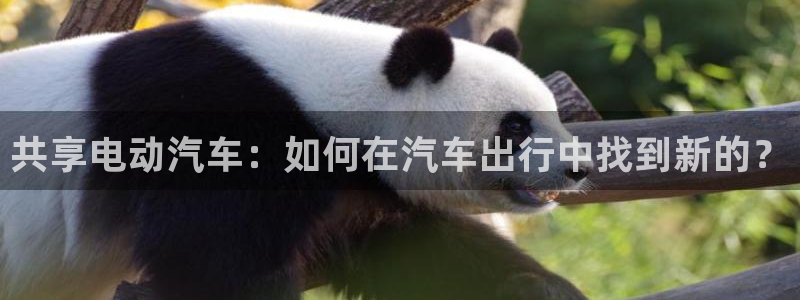 优发国际手机客户端官网下载