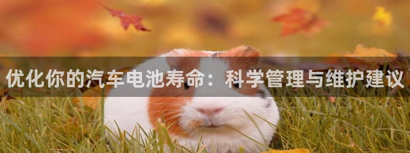 优发国际下载安装app：优化你的汽车电池寿命：科学管理与维护建议