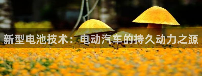 优发国际官方网平台登录：新型电池技术：电动汽车的持久动力之源