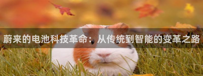 优发国际游戏17岁能玩吗