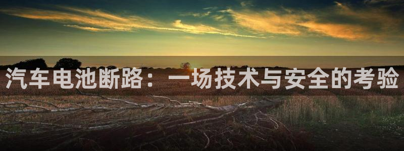 优发国际手机登录下载安装：汽车电池断路：一场技术与安全的考验
