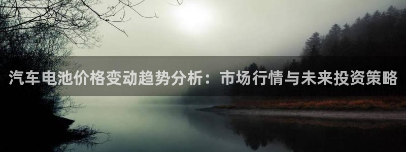 优发国际手机版唯一官网下载：汽车电池价格变动趋势分析：市场行情与未来投资策略