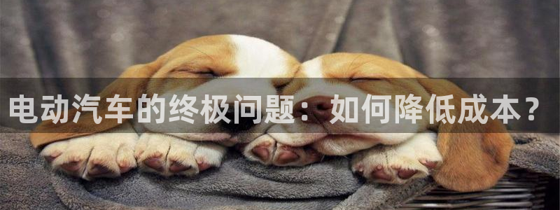 优发国际的官网是什么：电动汽车的终极问题：如何降低成本？