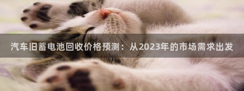优发国际手机登录下载安装苹果：汽车旧蓄电池回收价格预测：从2023年的市场需求出发