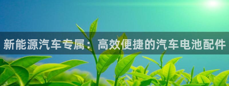 优发国际合并到哪里了