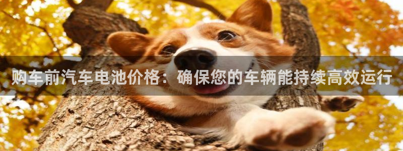 优发国际网官网17q8：购车前汽车电池价格：确保您的车辆能持续高效运行
