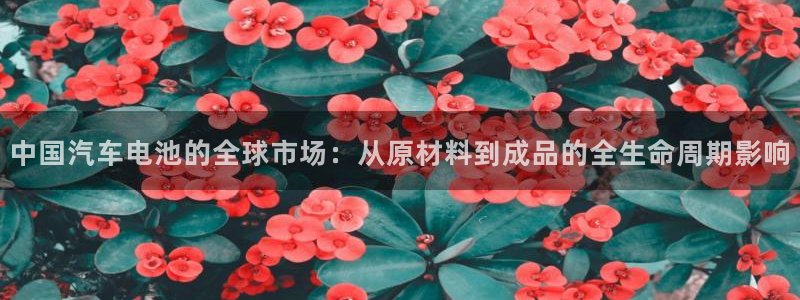 优发国际手机登录下载安装：中国汽车电池的全球市场：从原材料到成品的全生命周期影响