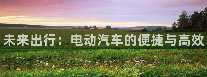 优发国际顶级：未来出行：电动汽车的便捷与高效