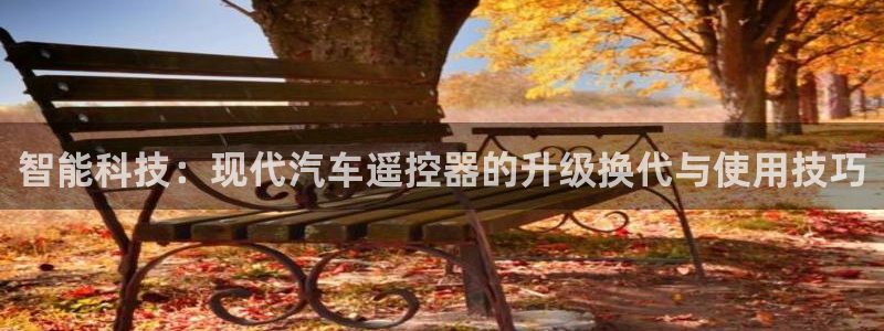 优发国际官方网平台：智能科技：现代汽车遥控器的升级换代与使用技巧
