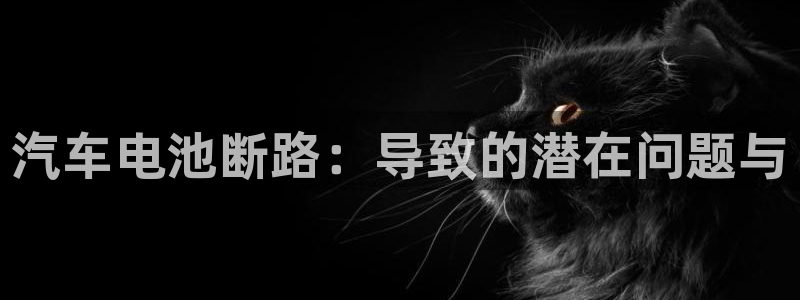 优发国际这个平台怎么样：汽车电池断路：导致的潜在问题与