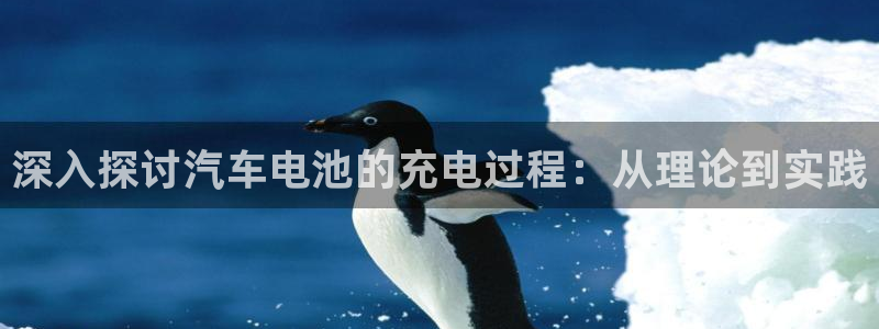 优发国际官网首页入口：深入探讨汽车电池的充电过程：从理论到实践