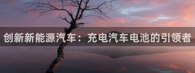 优发国际的官网是什么：创新新能源汽车：充