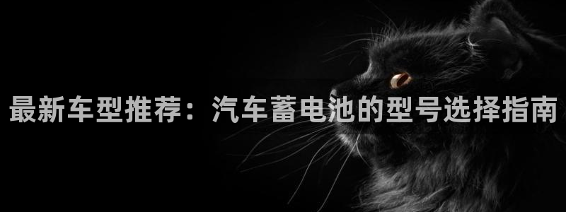 优发国际网官网17k8：最新车型推荐：汽车蓄电池的型号选择指南
