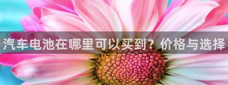 优发国际手机版唯一官网下载：汽车电池在哪里可以买到？价格与选择