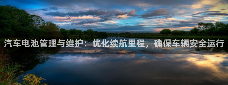 优发国际下载安装app：汽车电池管理与维